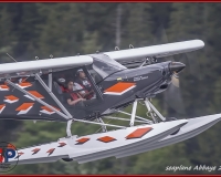 TSR Watermark - 0309